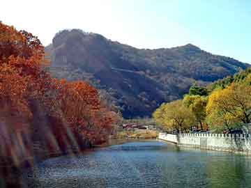 澳门二四六天天彩图库，狮跑油耗